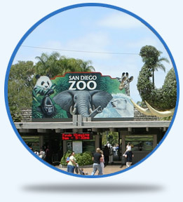 San Diego Zoo